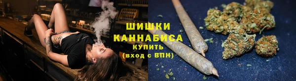 крисы Бронницы