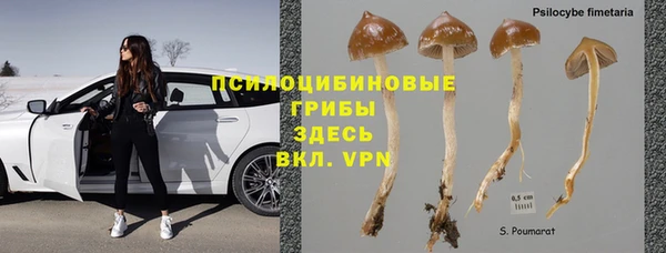 амф Бородино