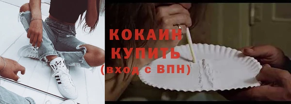 молекула духа Богородск