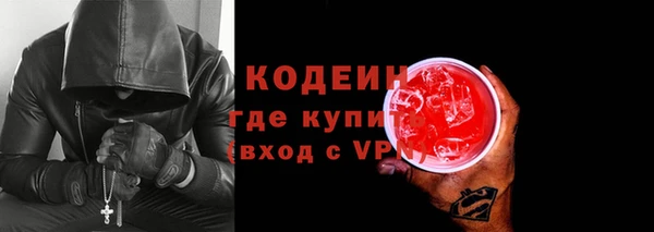 амф Бородино
