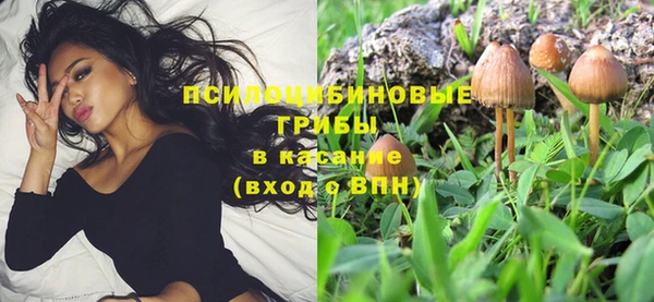 марки lsd Бугульма