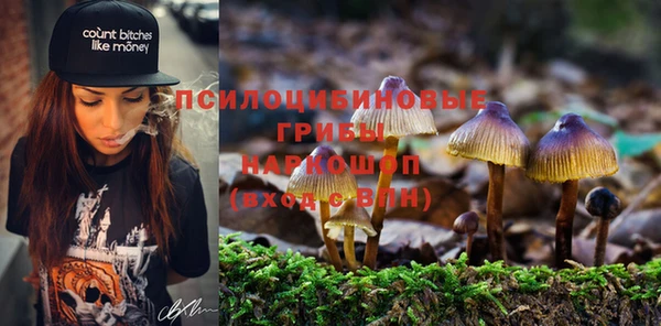 крисы Бронницы