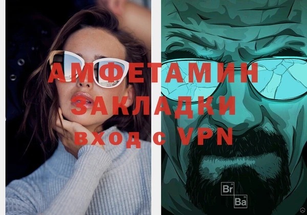 крисы Бронницы