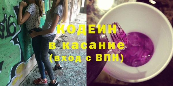 амф Бородино