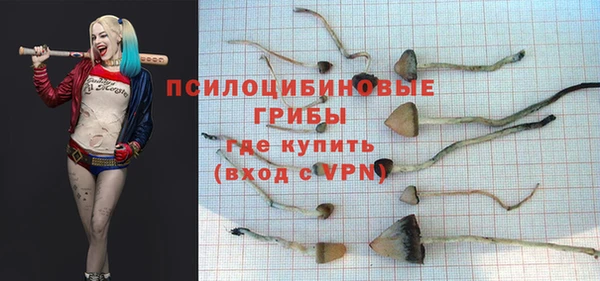 марки lsd Бугульма