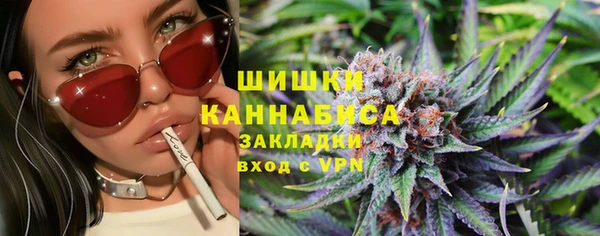 амф Бородино