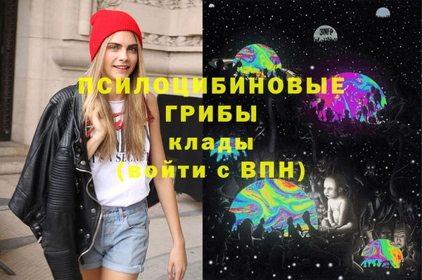 первитин Богданович