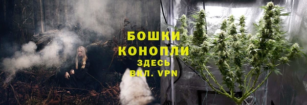 первитин Богданович