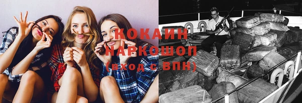 дурь Богородицк