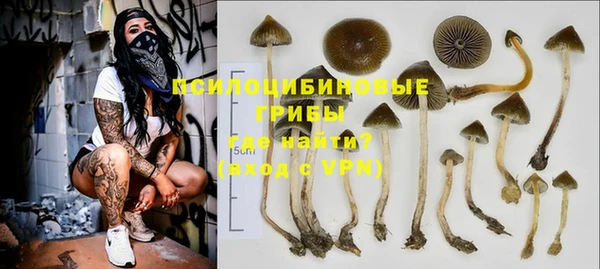 амф Бородино