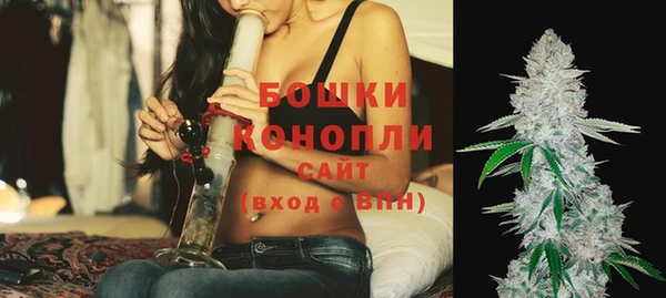 молекула духа Богородск