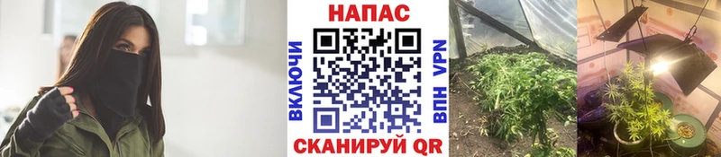 Конопля ГИДРОПОН  Новокузнецк 